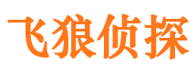 晋宁市调查公司